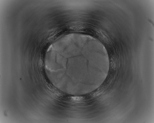 X0000097780371200804041219