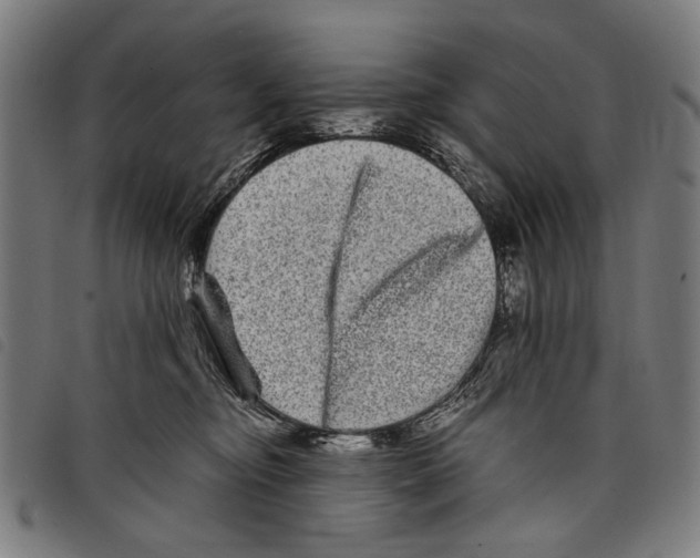 X0000097780374200804041219