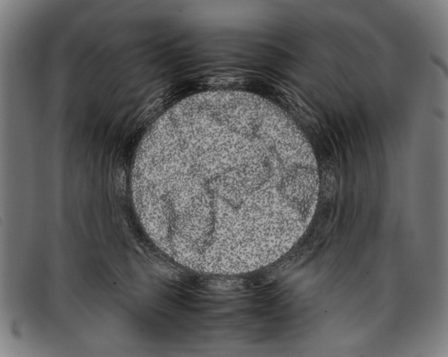 X0000097780375200804041219