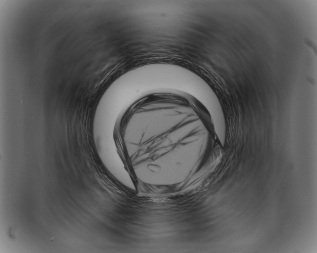 X0000097780376200804041219