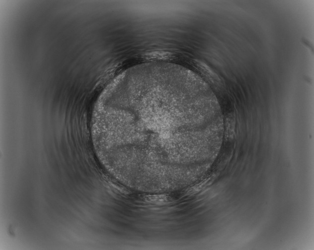 X0000097780377200804041219