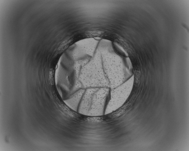 X0000097780378200804041219