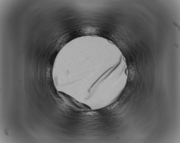 X0000097780379200804041219