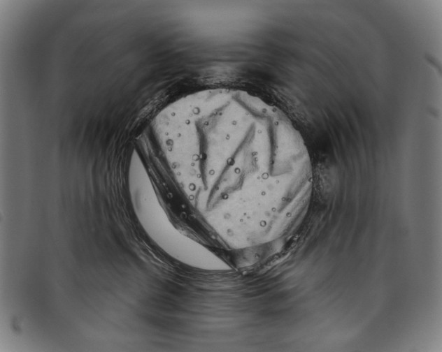 X0000097780380200804041219