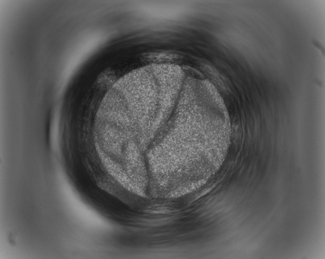 X0000097780381200804041219