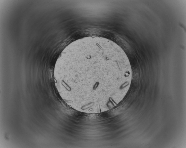 X0000097780382200804041219