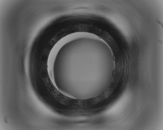 X0000097780383200804041219