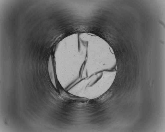 X0000097780384200804041219