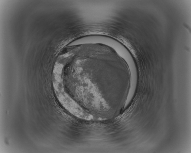 X0000097780385200804041218