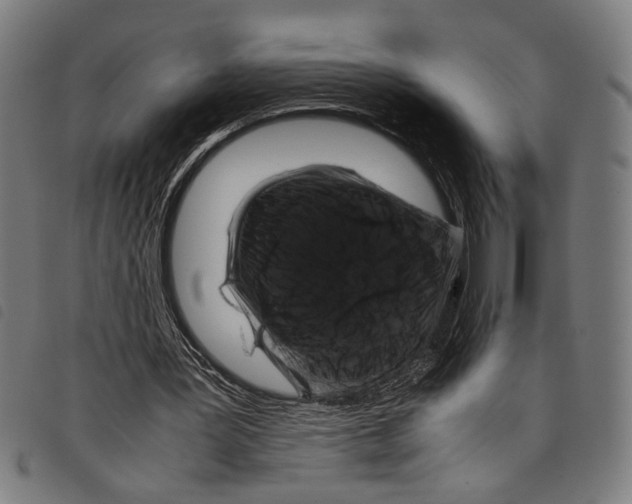 X0000097780387200804041218