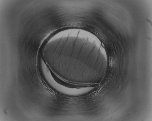 X0000097780388200804041218