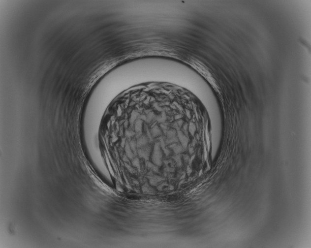 X0000097780389200804041218