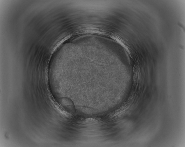 X0000097780390200804041218