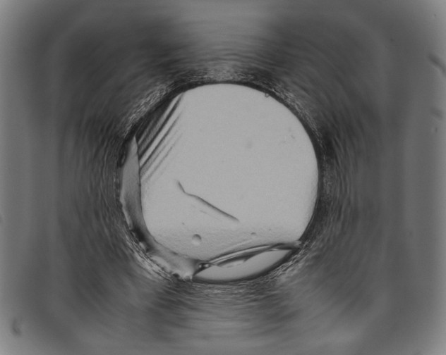 X0000097780393200804041218