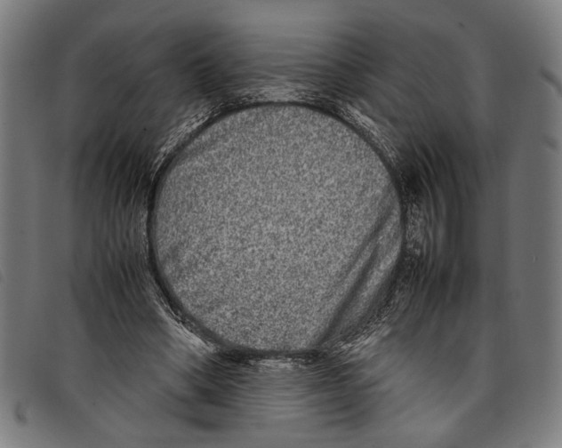 X0000097780394200804041218