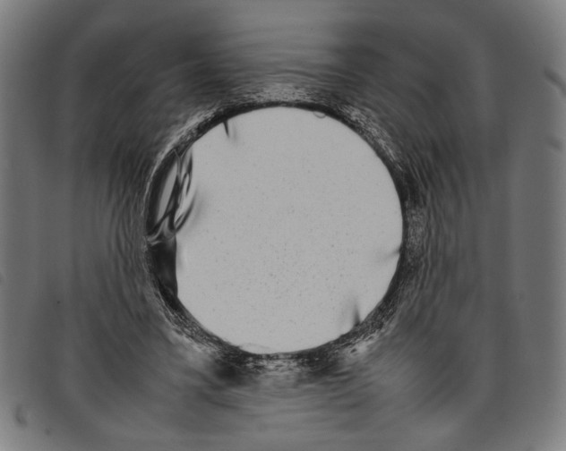 X0000097780395200804041218