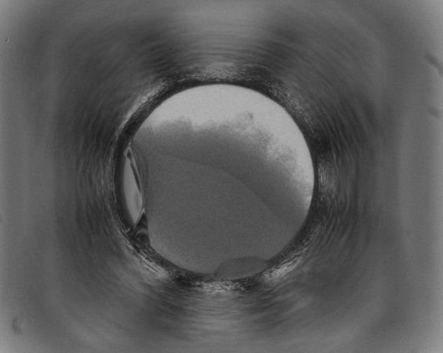 X0000097780396200804041218