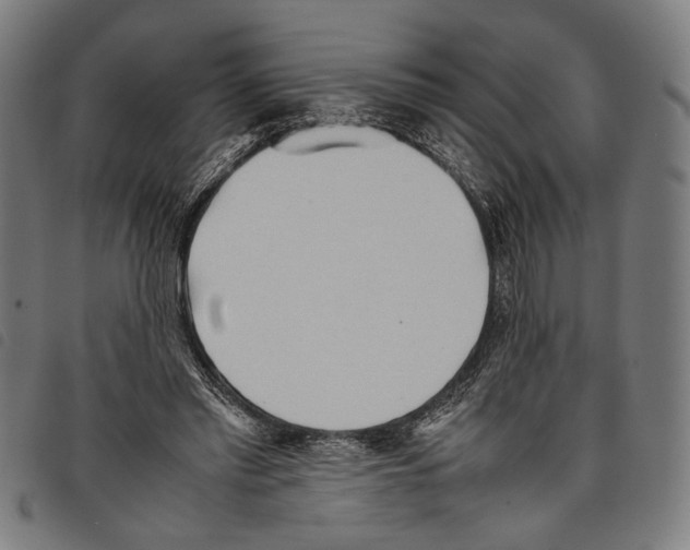 X0000097780397200804041218