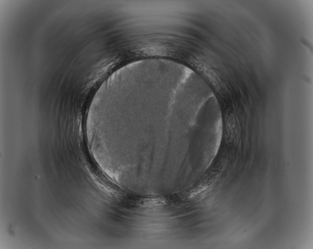 X0000097780398200804041218