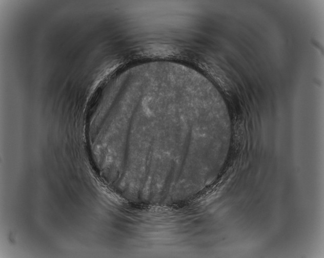 X0000097780399200804041218