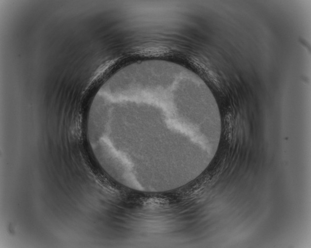 X0000097780400200804041218