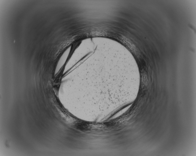 X0000097780401200804041218