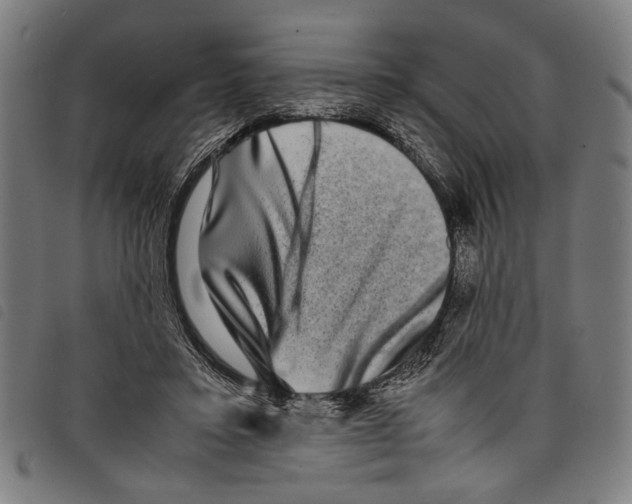 X0000097780403200804041218