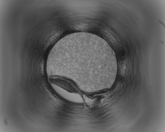 X0000097780404200804041218