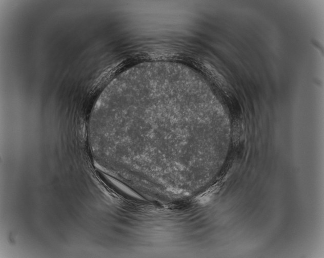 X0000097780405200804041218