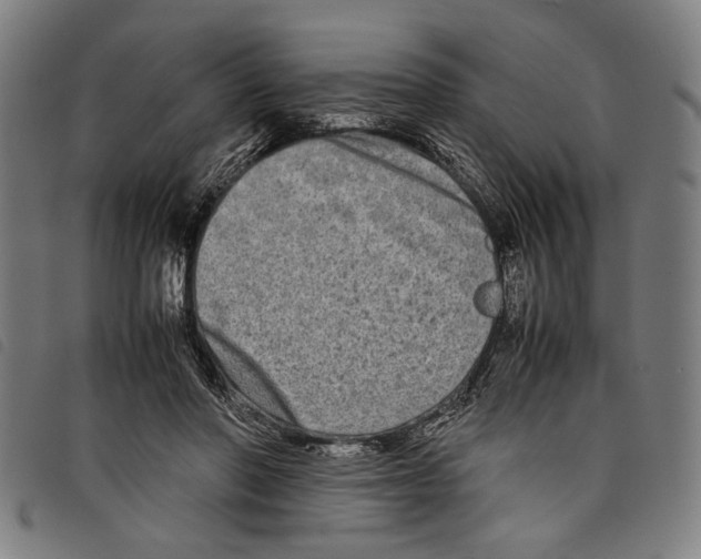 X0000097780406200804041218