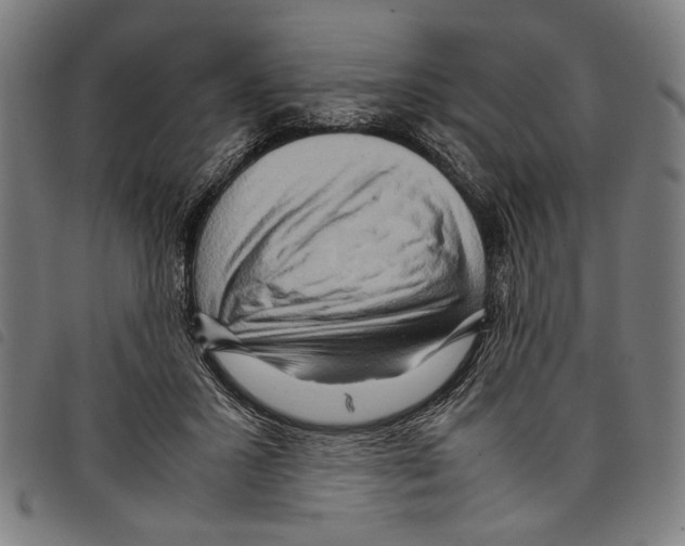 X0000097780407200804041218