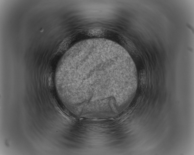 X0000097780408200804041218