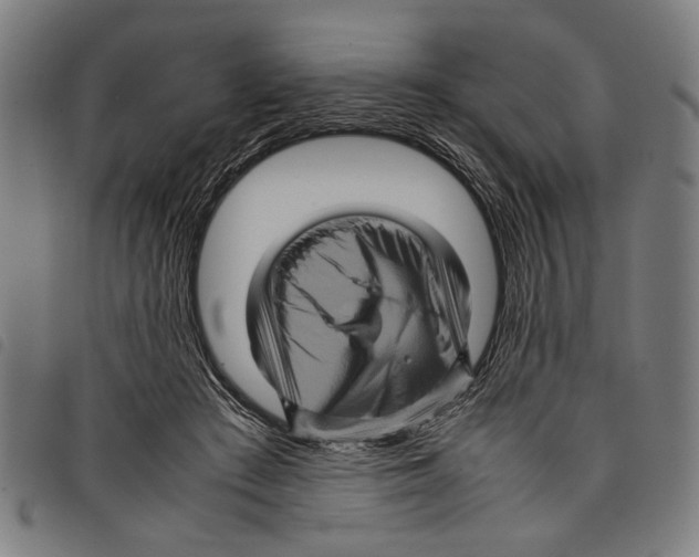 X0000097780409200804041218