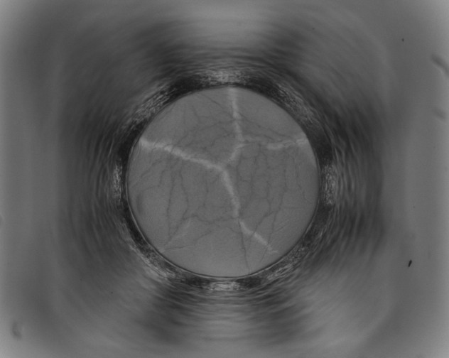 X0000097780410200804041218