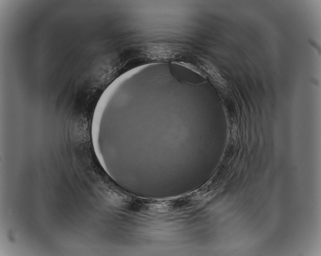 X0000097780411200804041218