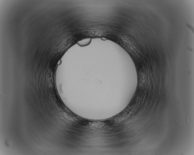 X0000097780414200804041218