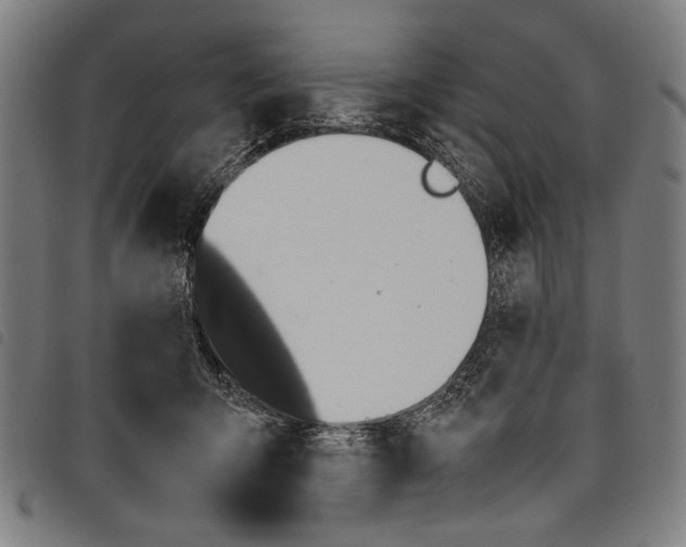 X0000097780415200804041218