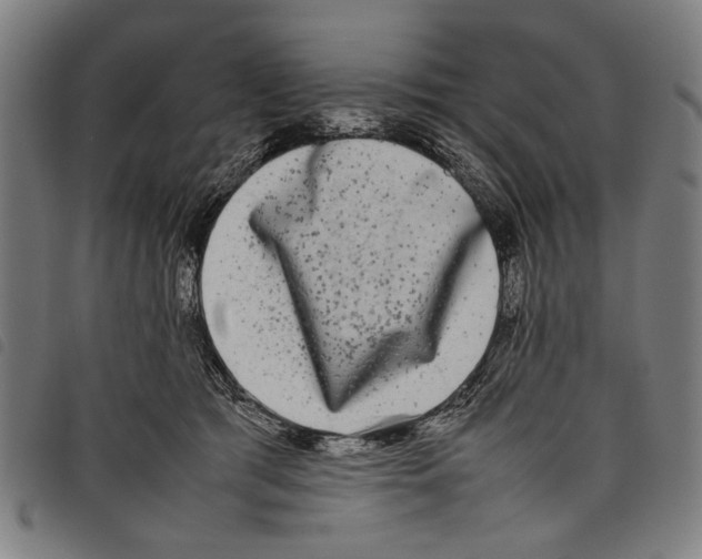 X0000097780417200804041218