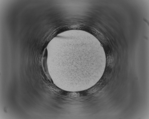 X0000097780421200804041218