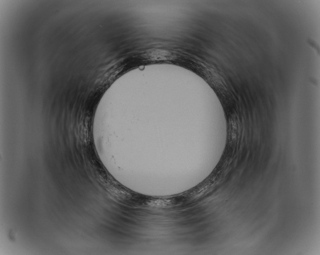 X0000097780422200804041218