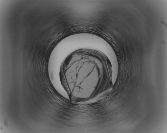 X0000097780423200804041218