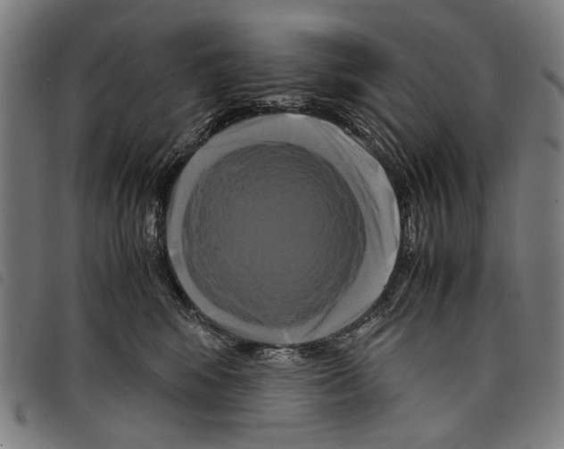 X0000097780424200804041218