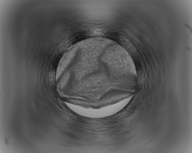 X0000097780425200804041218