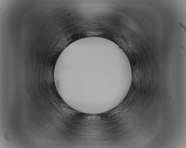 X0000097780426200804041218