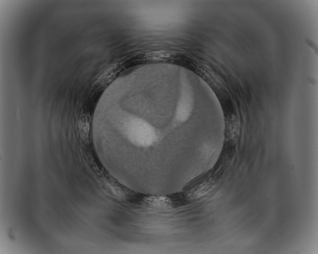 X0000097780427200804041218