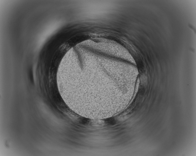 X0000097780429200804041218