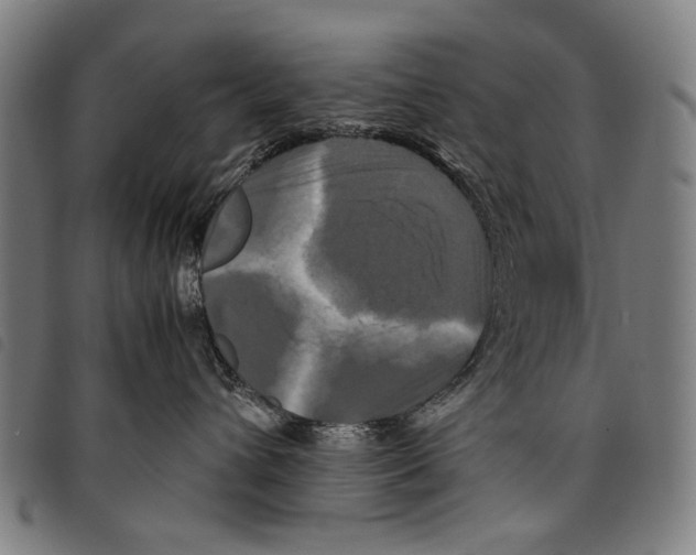 X0000097780432200804041218