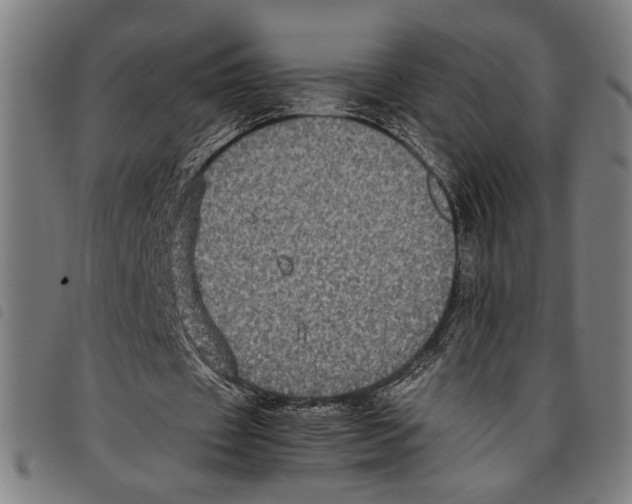 X0000097780433200804041217