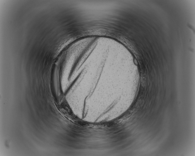 X0000097780434200804041217