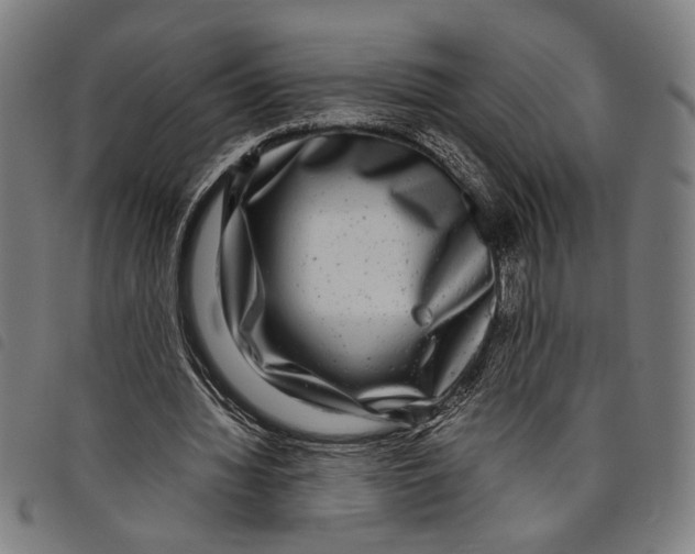 X0000097780436200804041217